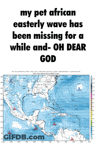 A Poster That Says My Pet African Easterly Wave Has Been Missing For A While And Oh Dear God On It GIF