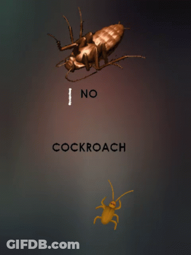 A Poster That Says No Cockroach With A Cartoon Cockroach GIF