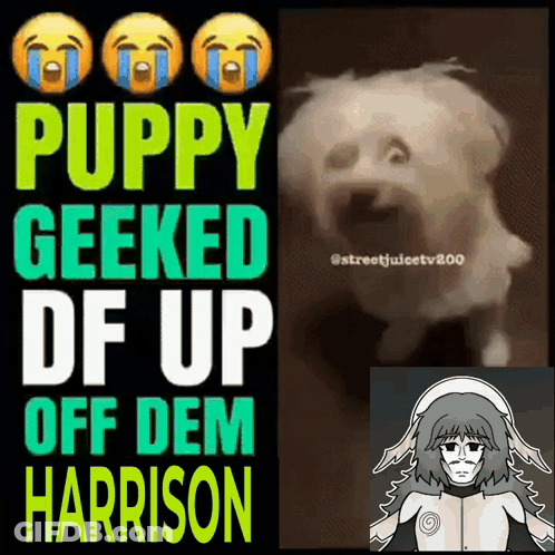 A Poster That Says Puppy Geeked Df Up Off Dem Harrison On It GIF