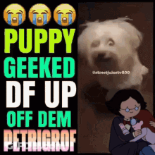 A Poster That Says Puppy Geeked Df Up Off Dem Petrigrof GIF