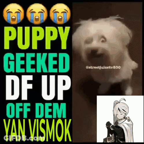 A Poster That Says Puppy Geeked Df Up Off Dem Yan Vismok On It GIF