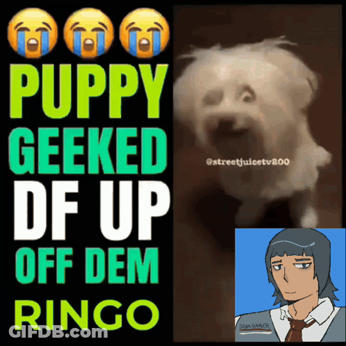 A Poster That Says Puppy Geeked Off Dem Ringo GIF