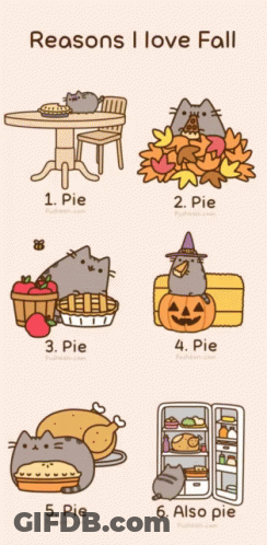 A Poster That Says Reasons I Love Fall With A Cat On It GIF