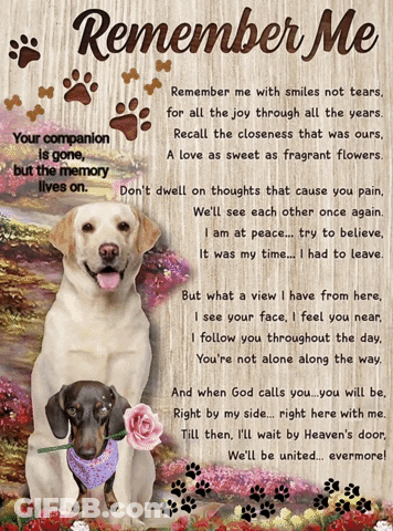 A Poster That Says Remember Me With Two Dogs On It GIF