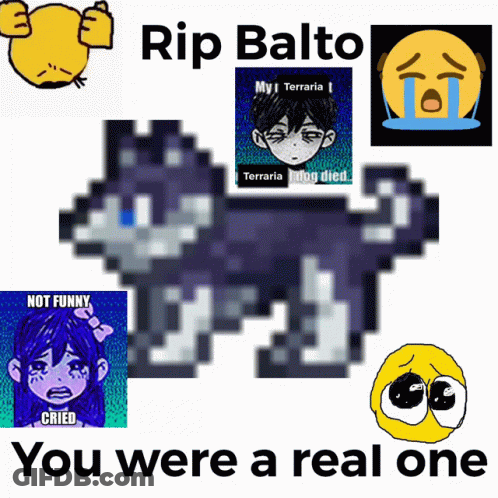 A Poster That Says Rip Balto You Were A Real One On It GIF