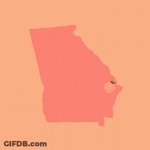 A Poster That Says Rural Black Georgian Voters Matter On An Orange Background GIF