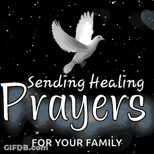 A Poster That Says Sending Healing Prayers For Your Family With A Dove GIF