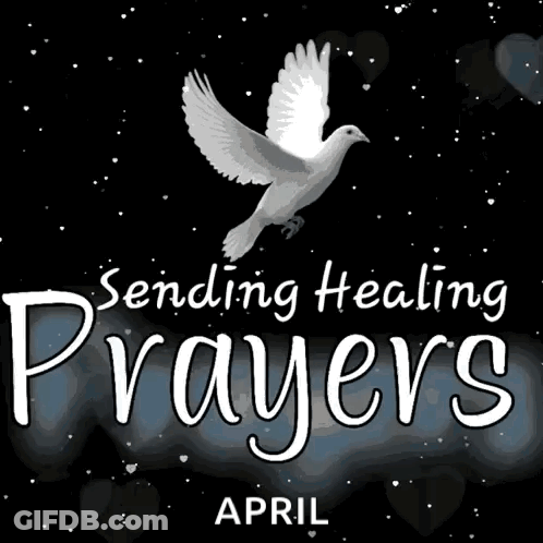 A Poster That Says Sending Healing Prayers With A Dove GIF