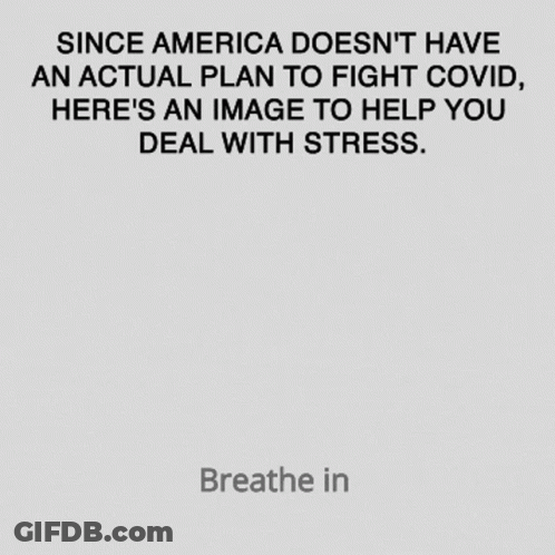 A Poster That Says " Since America Does N't Have An Actual Plan To Fight Covid " On It GIF