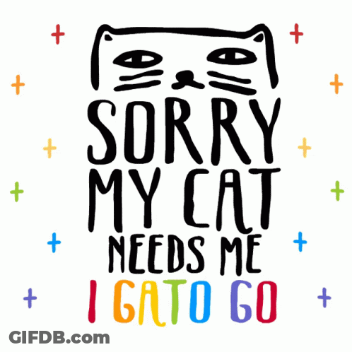 A Poster That Says Sorry My Cat Needs Me Igato Go GIF