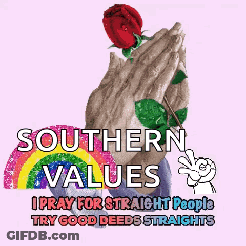 A Poster That Says Southern Values On It GIF