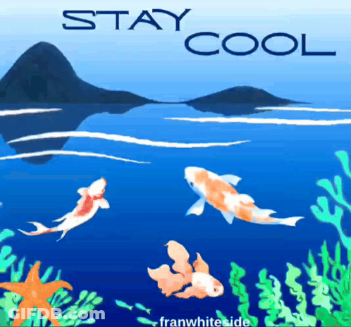 A Poster That Says Stay Cool With Fish In The Ocean GIF