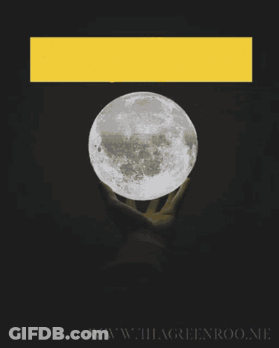 A Poster That Says " Stay Wild Moon Child " On It GIF