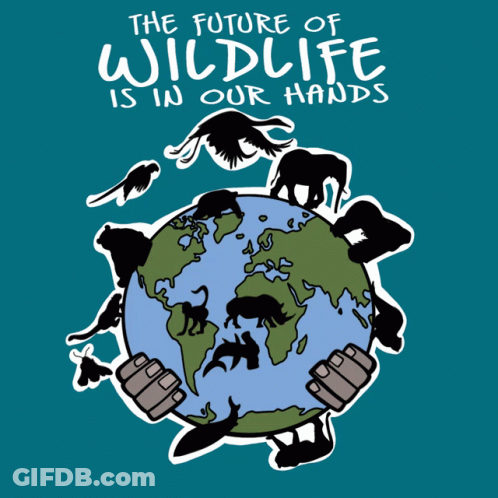 A Poster That Says " The Future Of Wildlife Is In Our Hands " On It GIF