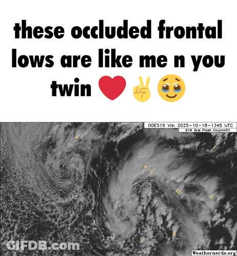 A Poster That Says These Occluded Frontal Lows Are Like Me And You Twin GIF