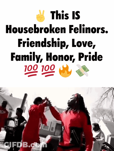 A Poster That Says " This Is Housebroken Felinos Friendship Love Family Honor Pride 100 100 " GIF