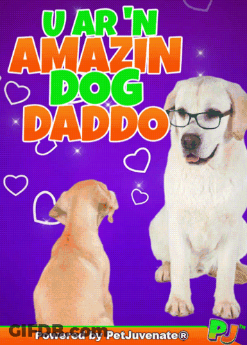 A Poster That Says U Ar N Amazin Dog Daddo On It GIF