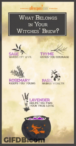 A Poster That Says What Belongs In Your Witches Brew On It GIF