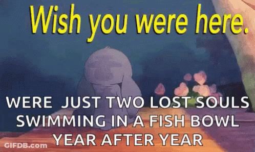 A Poster That Says Wish You Were Here Were Just Two Lost Souls Swimming In A Fish Bowl A Year After Year GIF