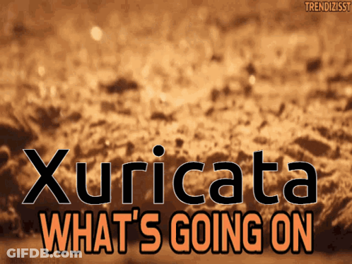 A Poster That Says Xuricata What 'S Going On In Orange Letters GIF