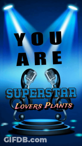 A Poster That Says You Are Superstar Lovers Plants On It GIF