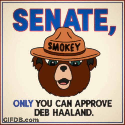 A Poster With A Bear Wearing A Hat That Says Smokey GIF