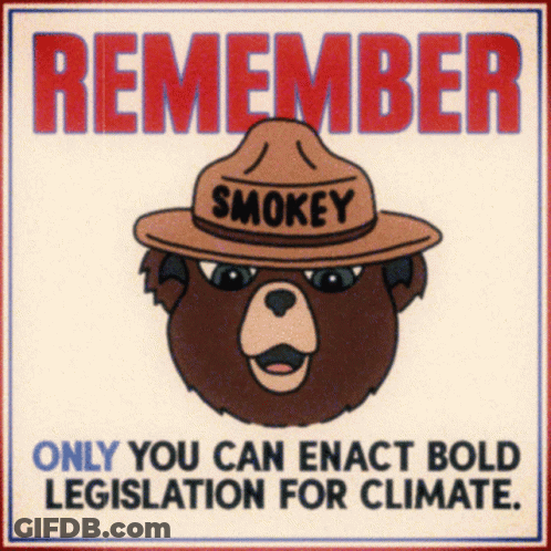 A Poster With A Bear Wearing A Hat That Says Smokey GIF