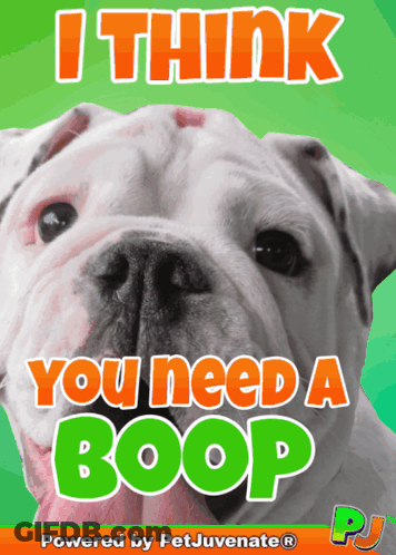 A Poster With A Bulldog And The Words " I Think You Need A Boop " GIF
