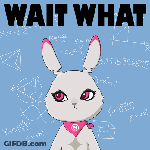 A Poster With A Bunny And The Words " Wait What " GIF