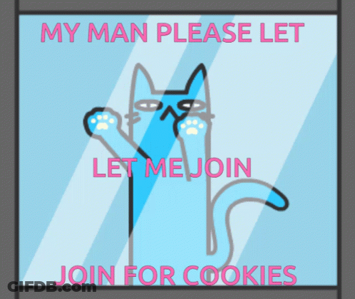 A Poster With A Cat On It That Says My Man Please Let Me Join For Cookies GIF