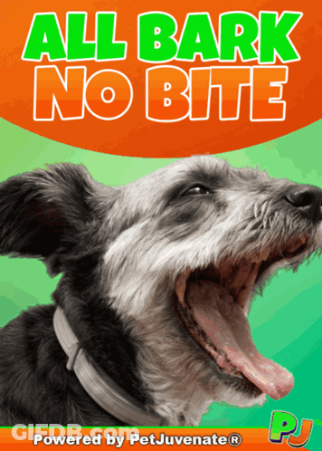 A Poster With A Dog And The Words All Bark No Bite On It GIF