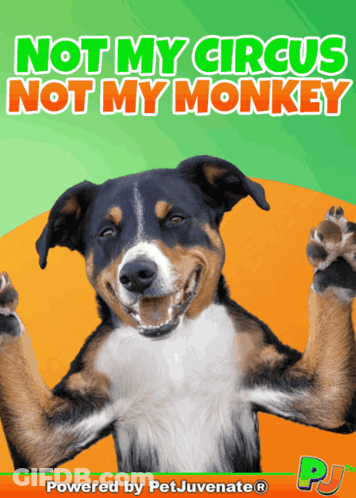 A Poster With A Dog And The Words Not My Circus Not My Monkey GIF