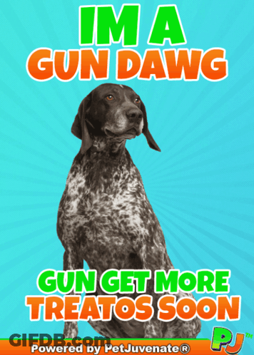 A Poster With A Dog On It That Says " Im A Gun Dawg " GIF