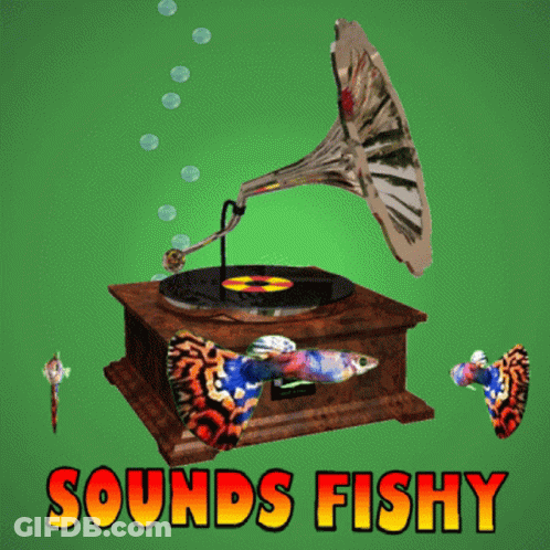 A Poster With A Gramophone And The Words Sounds Fishy On It GIF