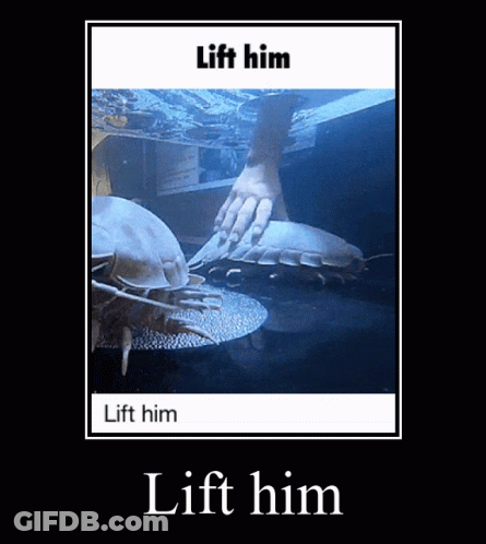 A Poster With A Picture Of A Crab And The Words Lift Him GIF
