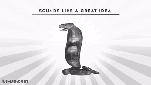 A Poster With A Snake And The Words " What Could Possibly " On It GIF