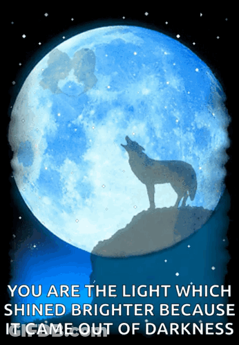 A Poster With A Wolf Howling In Front Of A Blue Full Moon GIF