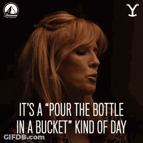 A Poster With A Woman And The Words It 'S A " Pour The Bottle In A Bucket " Kind Of Day GIF