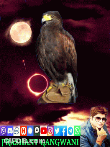 A Poster With An Eagle And The Name Prashant Gangwani On It GIF