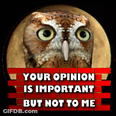 A Poster With An Owl And The Words " Your Opinion Is Important But Not To Me " GIF