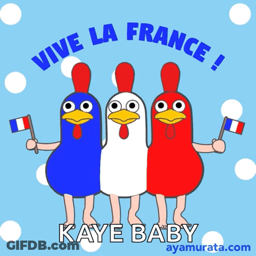 A Poster With Three Chickens Holding French Flags Says Vive La France Kaye Baby GIF