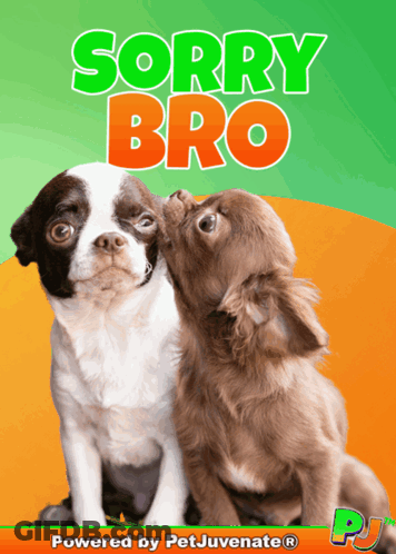 A Poster With Two Dogs And The Words Sorry Bro On It GIF