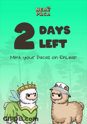 A Poster With Two Llamas And The Words 2 Days Left Mint Your Pacas On Enleap GIF