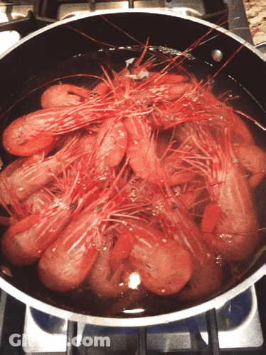 A Pot Of Shrimp Is Cooking On A Stove Top GIF