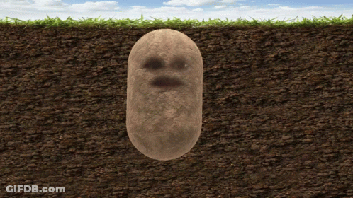 A Potato With A Face On It Is Buried In The Ground GIF
