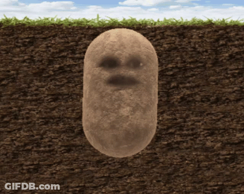 A Potato With A Face On It Is Laying In The Dirt GIF