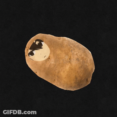 A Potato With A Hole In It That Looks Like A Hole In A Rock GIF