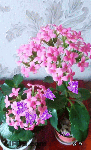 A Potted Plant With Pink Flowers And Purple Butterflies With The Letters Sd On The Bottom GIF