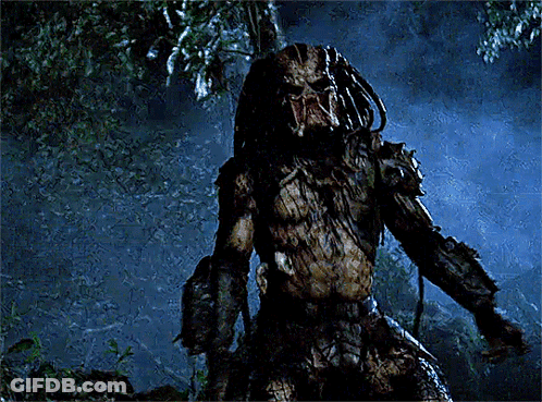 A Predator Is Standing In A Dark Forest GIF