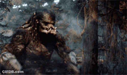 A Predator Is Standing In The Woods Looking At Something GIF